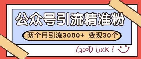 公众号精准粉引流玩法，2个月3000+精准粉，变现30个W【揭秘】-优优云网创