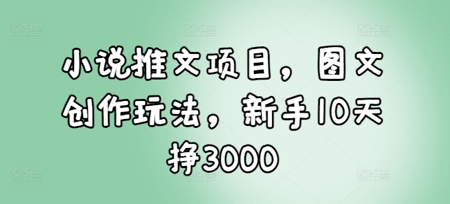小说推文项目，图文创作玩法，新手10天挣3000-优优云网创