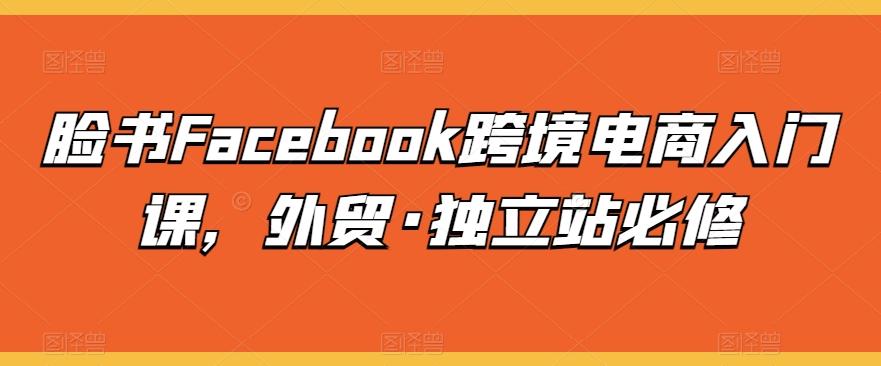 脸书Facebook跨境电商入门课，外贸·独立站必修-优优云网创