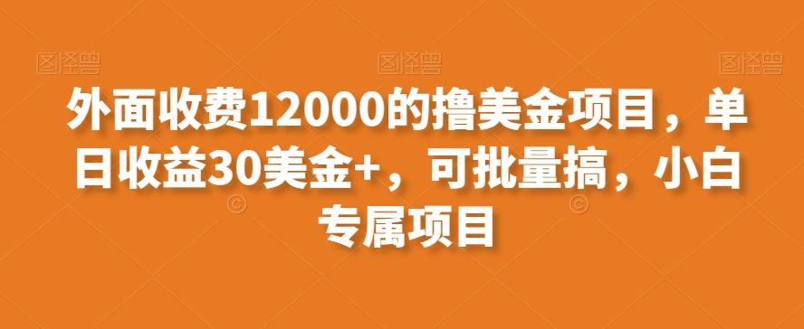 外面收费12000的撸美金项目，单日收益30美金+，可批量搞，小白专属项目-优优云网创