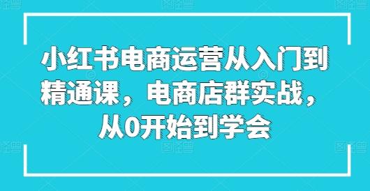 小红书电商运营从入门到精通课，电商店群实战，从0开始到学会-优优云网创