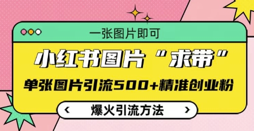 小红书图片‘求带’爆火引流法，单张图片引流500+精准创业粉【揭秘】-优优云网创