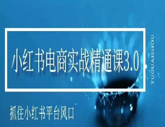小红书电商实战精通课3.0，抓住小红书平台的风口，不错过有一个赚钱的机会-优优云网创