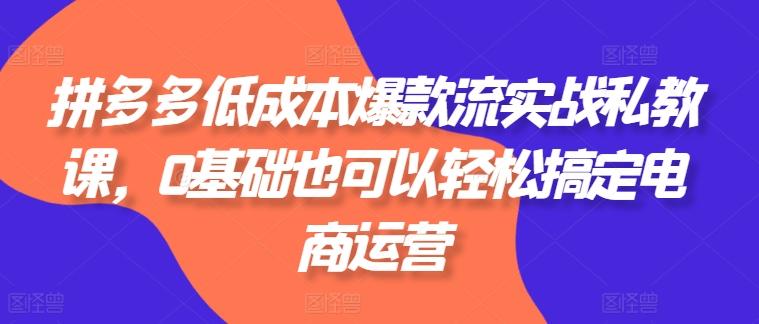 拼多多低成本爆款流实战私教课，0基础也可以轻松搞定电商运营-优优云网创