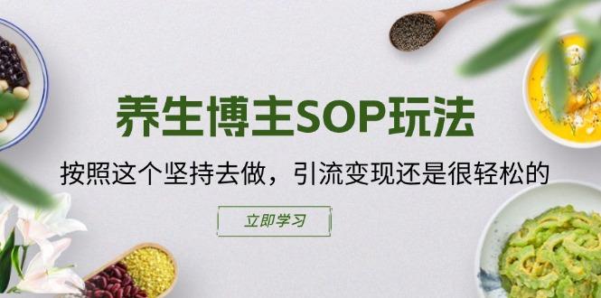 养生博主SOP玩法，按照这个坚持去做，引流变现还是很轻松的-优优云网创