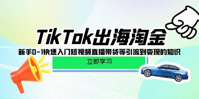 (10035期)TikTok-出海淘金，新手0-1快速入门短视频直播带货等引流到变现的知识-优优云网创