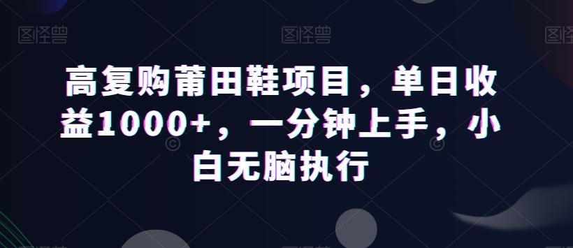 高复购莆田鞋项目，单日收益1000+，一分钟上手，小白无脑执行-优优云网创